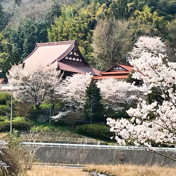 本堂