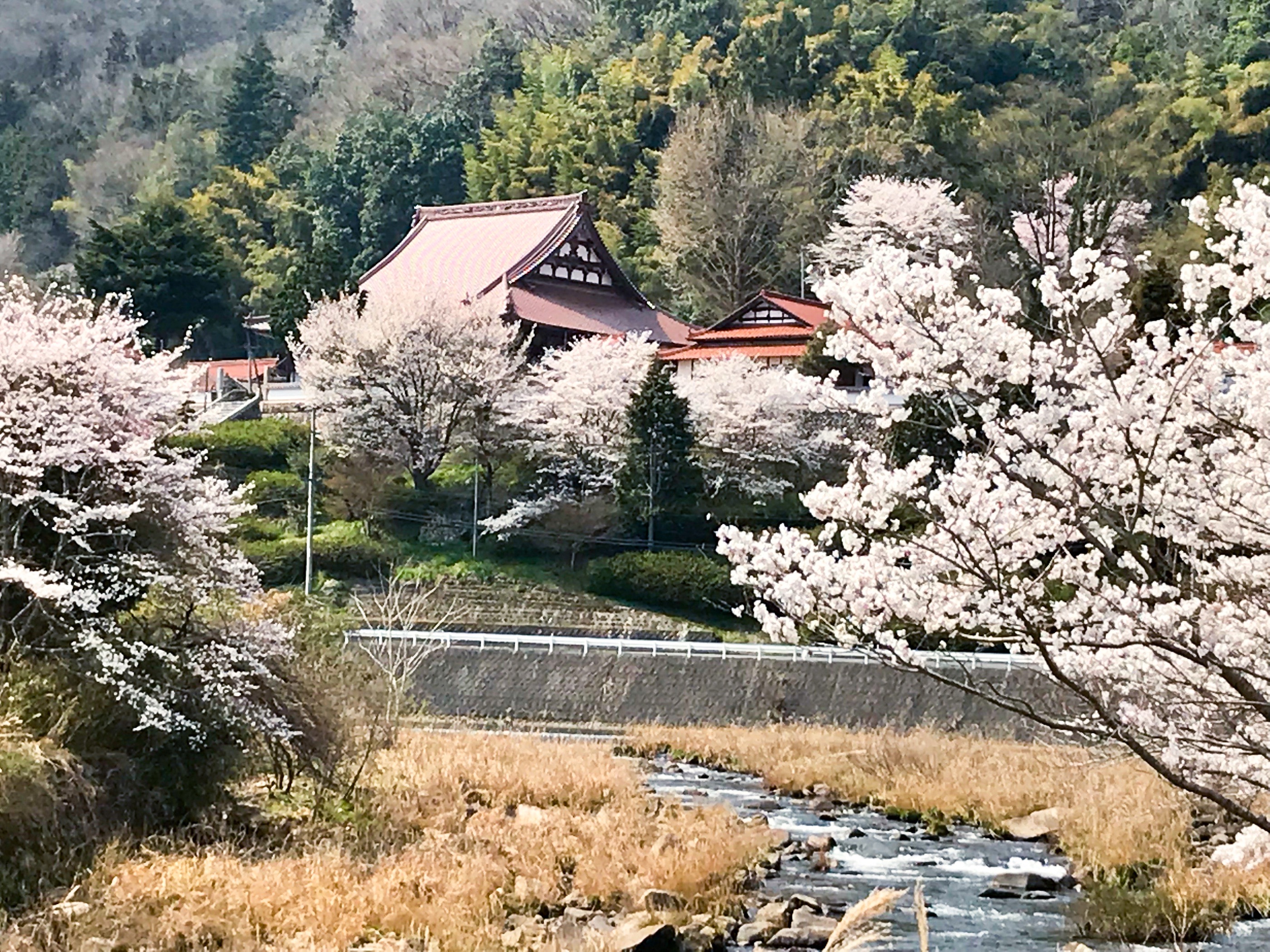 諸佛山西蓮坊本坊の外観